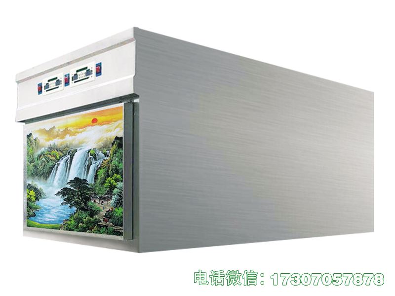 宣城单门车载冷冻柜